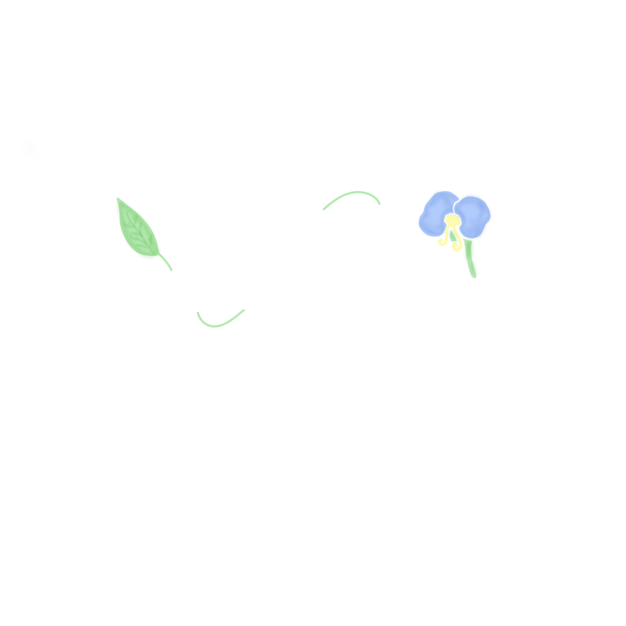 Lucía Berruet Marchetto